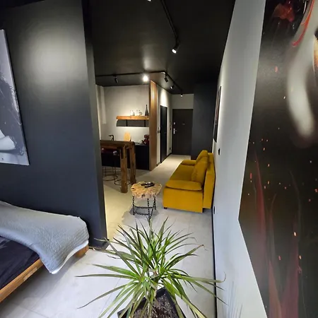 Design Vistula Old Town Free Parking Apartment Krakow