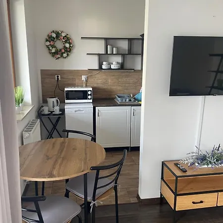 Dodo Acomodo 8 Apartament Kraków