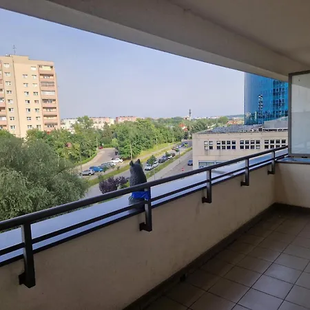 Dodo Acomodo 8 Kraków