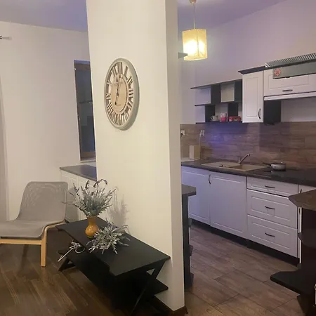 Dodo Acomodo 8 Kraków