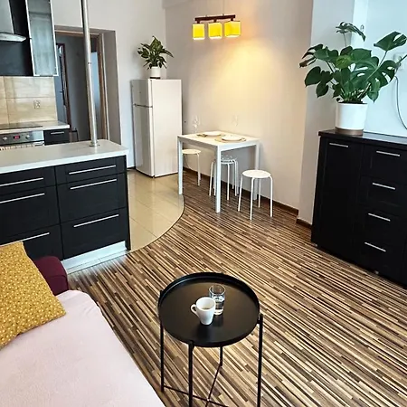 Apartment Cozy Near Krakus Mound *