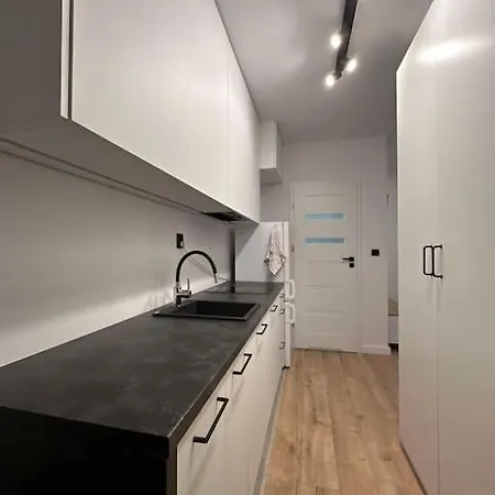 Nowoczesny Z Ogrodem Apartment