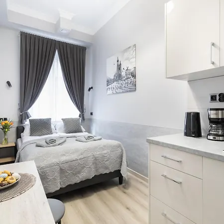 Dolce Elegant Apartment Krakow