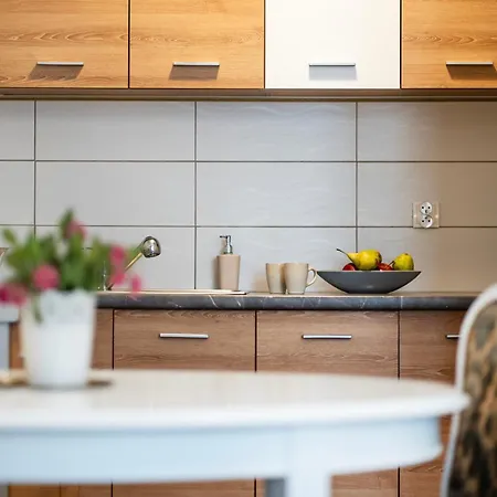 Perfect Place To In Center Apartment