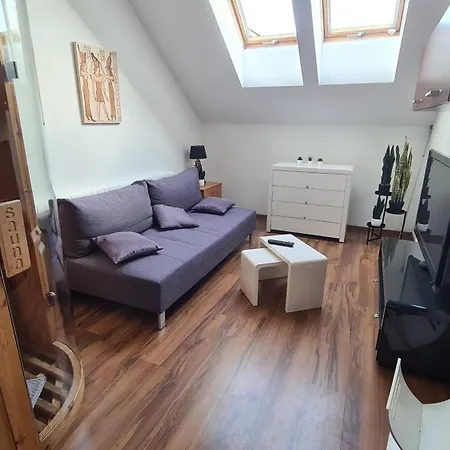 Z Sauna I Jacuzzi Apartament Kraków