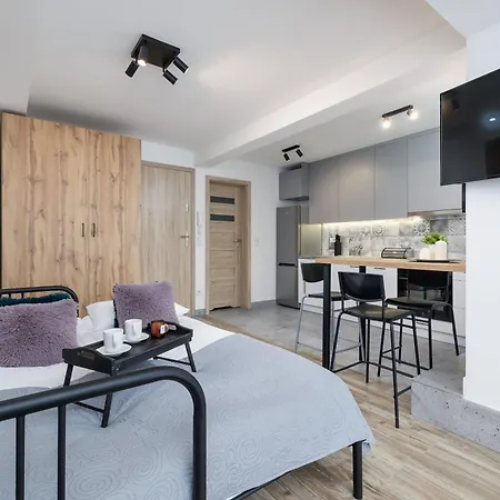 Apartment Classic & Elegant Moniuszki In By Renters