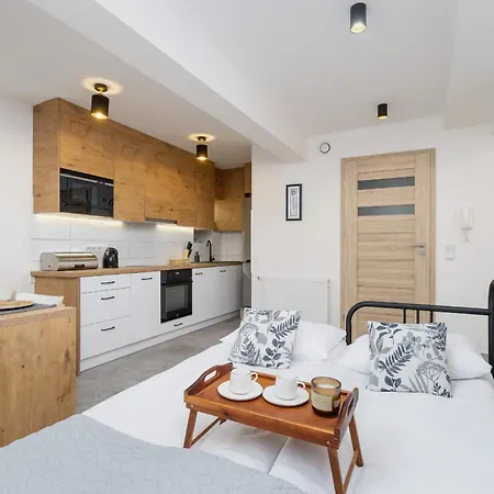 Classic & Elegant Moniuszki In By Renters * Krakow
