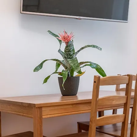 Apartment Sleepwellpl Krakow