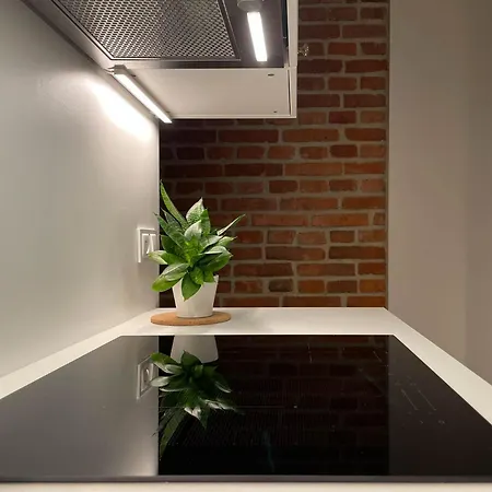 S45 By Promodero Apartment Krakow