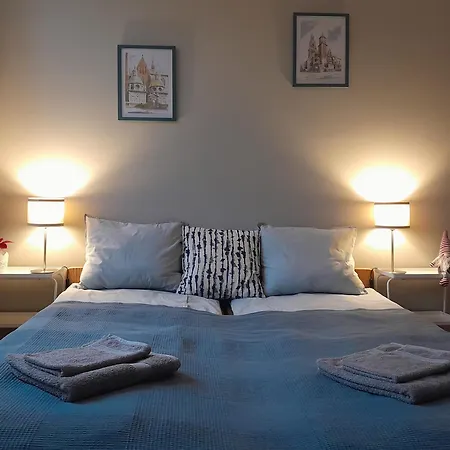 Apartment Laykonik Center *