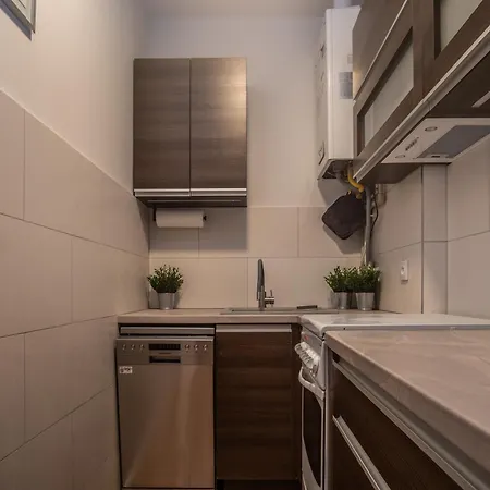 Borek Przy Modrej Apartment *