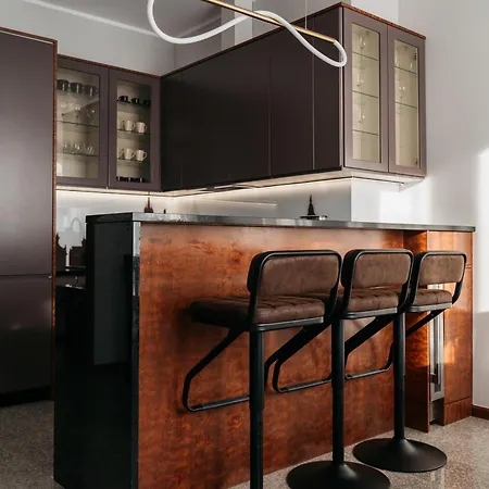 Native Lenartowicza 17 Deluxe Apartment Krakow