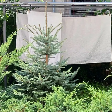 Centrum Krakowa, Z Ogrodem I Parkingiem Apartament *