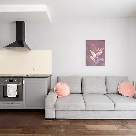 Lubicz Urban Haven Apartment