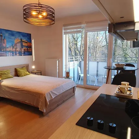 Apartment Estudio Park Mateczny