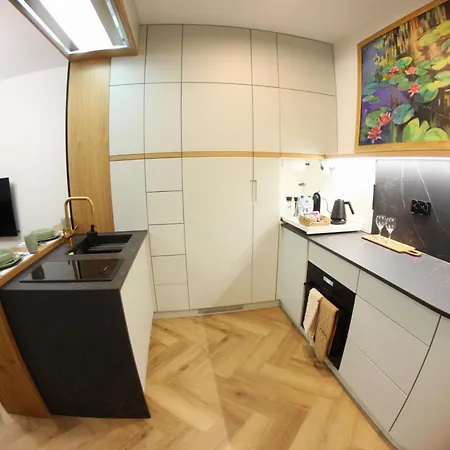 Nenufar Cracow Garden Parter Free Darmowy Parking Ogrod Netflix Klimatyzacja Apartament Kraków