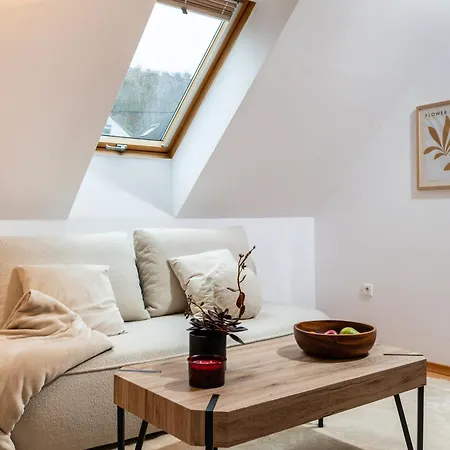 Your Private Oasis In Cracow Willa