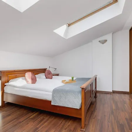 Asnyka Wyjatkowy W Centrum Krakowa By Renters Apartment Krakow