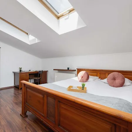 Asnyka Wyjatkowy W Centrum Krakowa By Renters Apartment Krakow