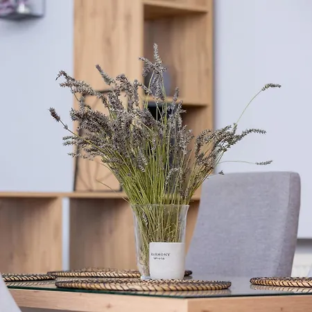 Podwale Uj Downtown Cracow By Renters *