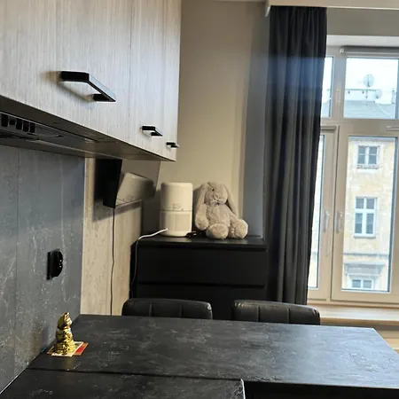 Apartment Elegant Apartment, Kazimierz, *