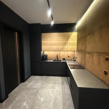 Deluxe Industrial Free Parking, Swimming Pool, Sauna & Gym Krakow