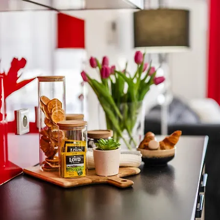 Rimini Moxy Te&am Cracow Krakow