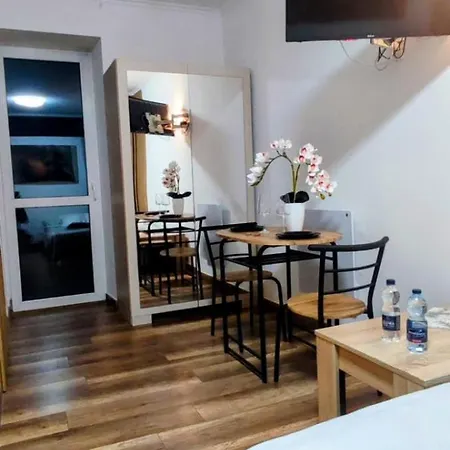 W Centrum Starego Krakowa Apartment Krakow