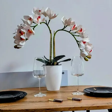 Apartment W Centrum Starego Krakowa *