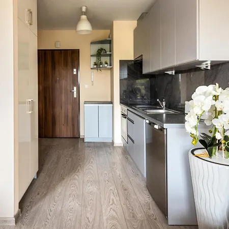 Ap. Astoria Flowers St.miasto Parking, Balcony Apartment *