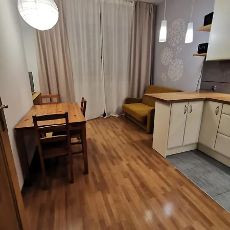 Cozy Spacious With Balcony Krakow