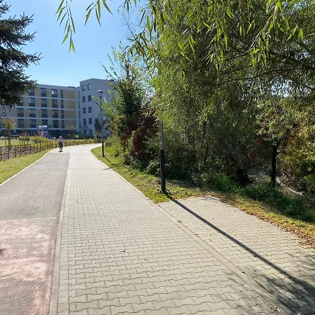 Siesta Forest Relaxing Park Krakow