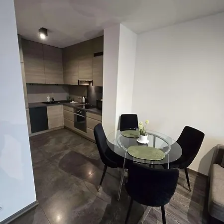 Apartments Near To The Wawel Castle With A Parking * Krakow