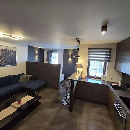 Apartments Near To The Wawel Castle With A Parking Apartment