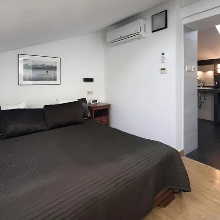 Apartment W Centrum - Duplex Penthouse In The Centre With Terrace And Air Conditioning