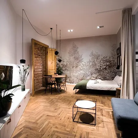 Wawel Castle Across The Street! Ozonated Apartment *