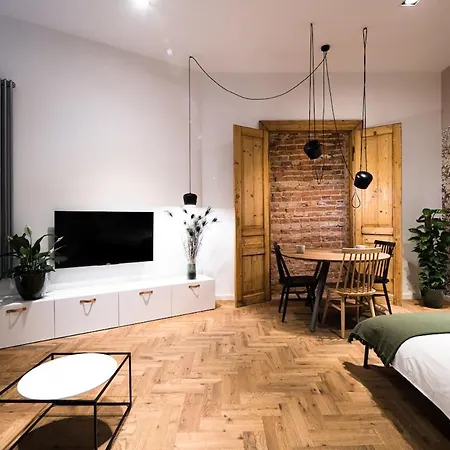 Wawel Castle Across The Street! Ozonated Apartment *
