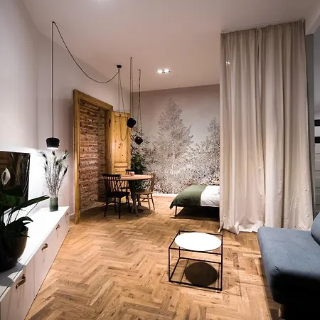 Apartment Wawel Castle Across The Street! Ozonated