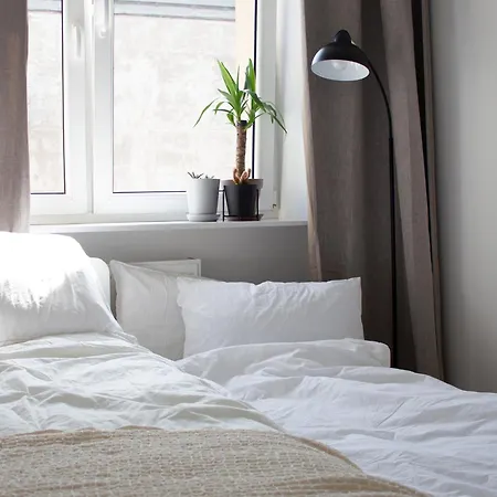 Vistula Nest Two Bedroom Apartment Near Kazimierz شقة كراكوفيا