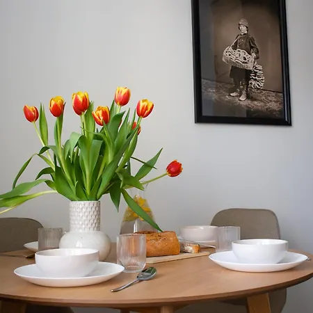 شقة Vistula Nest Two Bedroom Apartment Near Kazimierz