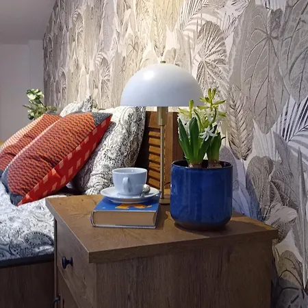 Old Town Premium Apartment Kazimierz - Synagogue View Apartment *