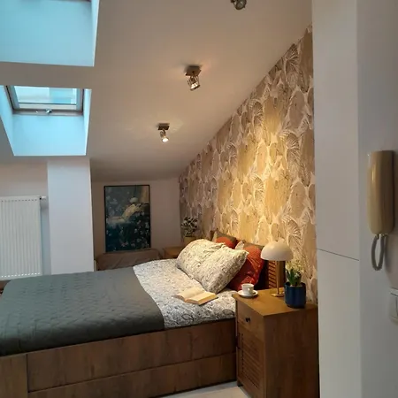 Apartment Old Town Premium Apartment Kazimierz - Synagogue View Krakow