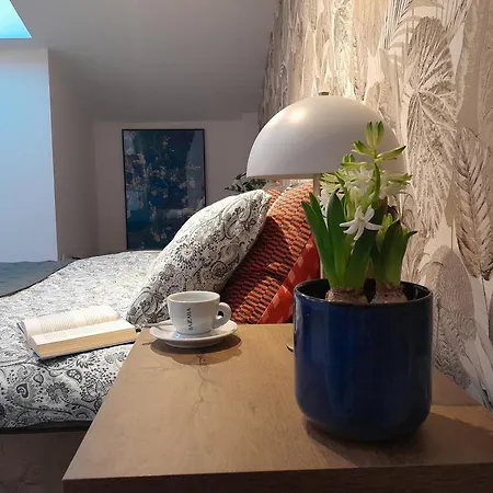 Old Town Premium Apartment Kazimierz - Synagogue View * Krakow