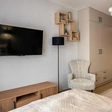 Apartament Iron