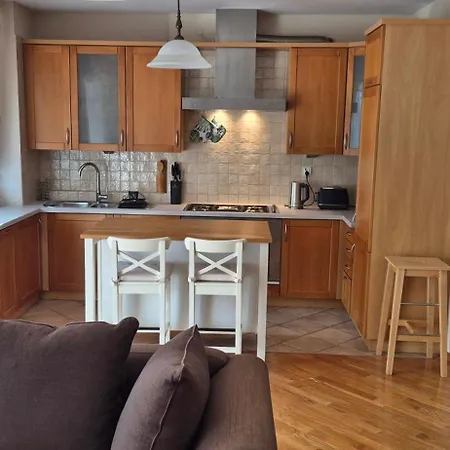 Apartment With Terrace And Garage Krakow