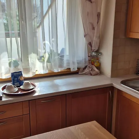 With Terrace And Garage Apartment Krakow