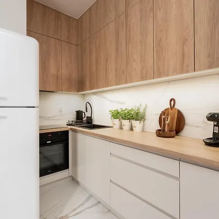 Apartment Malila Premium Rakowicka 20 L