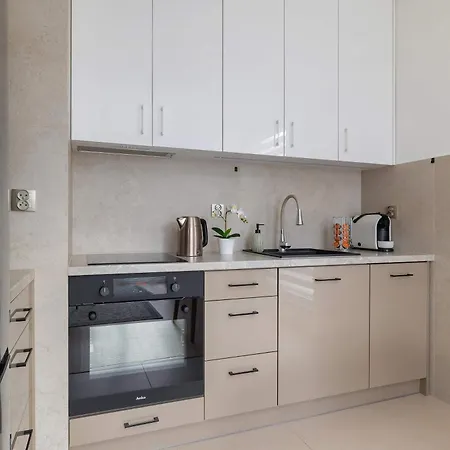 Lema 19 Stylowy W Zielonej Okolicy & Parking By Renters Apartment Krakow