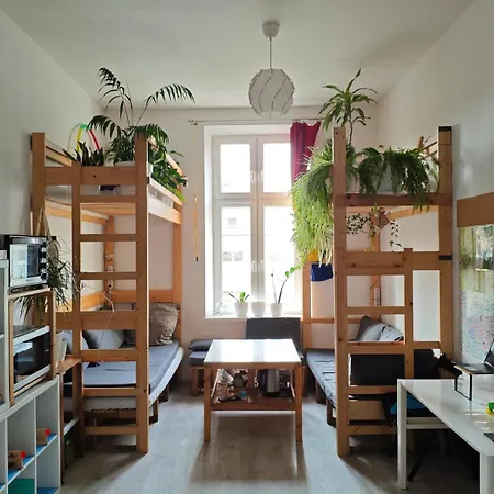 Evergreen * Krakow