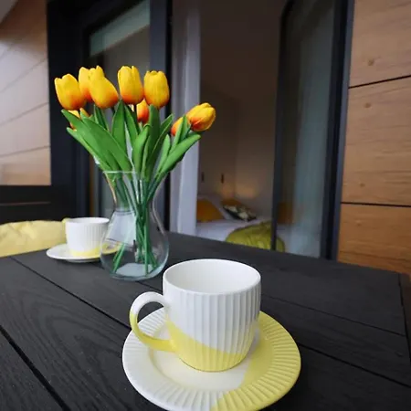 Apartament Center
